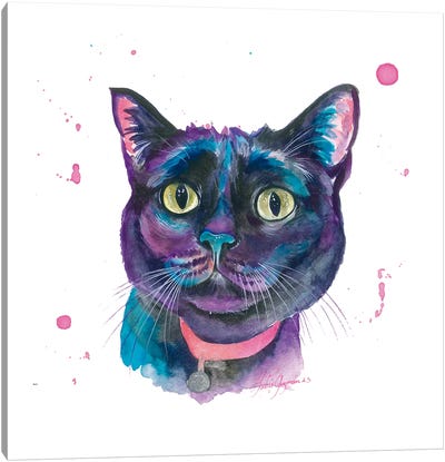 Gato Negro Colorido Canvas Art Print - Yubis Guzman