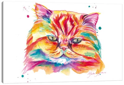 Gato Persa Colorido. Canvas Art Print - Persian Cat Art