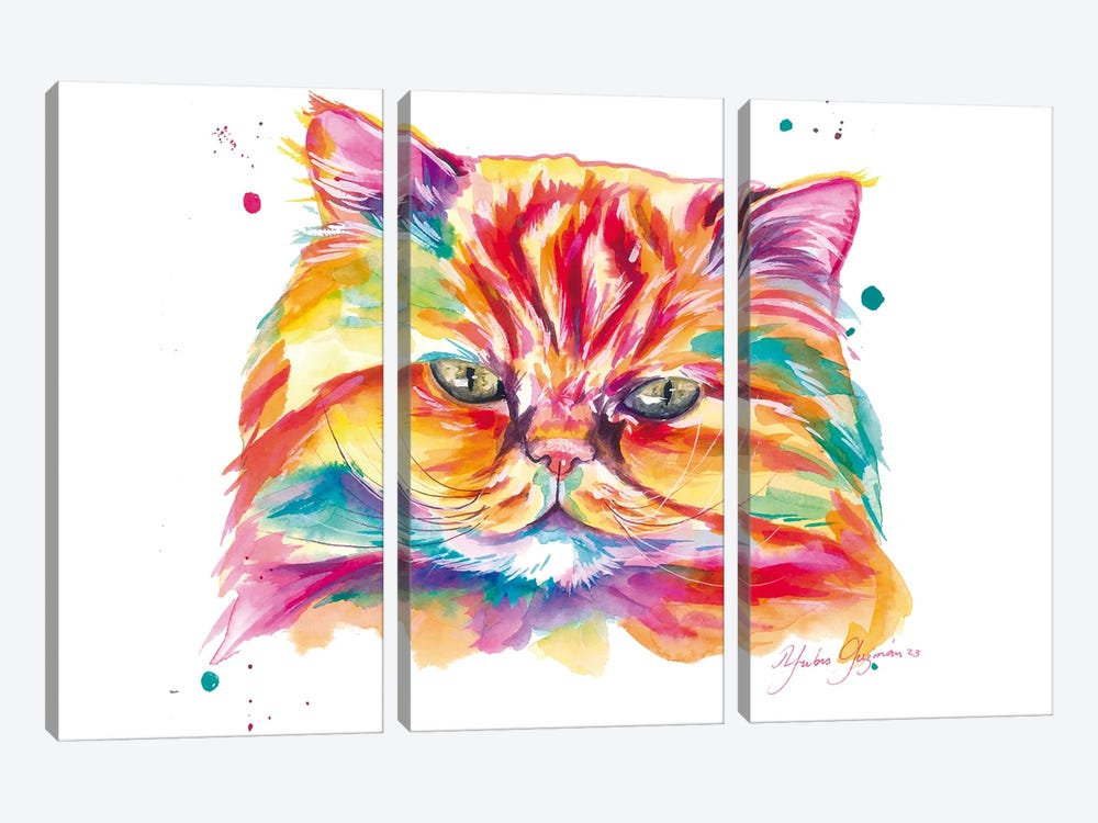 Gato Persa Colorido. by Yubis Guzman 3-piece Canvas Wall Art