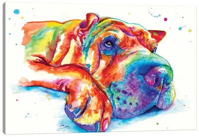 Dog Rest Canvas Art Print - Yubis Guzman