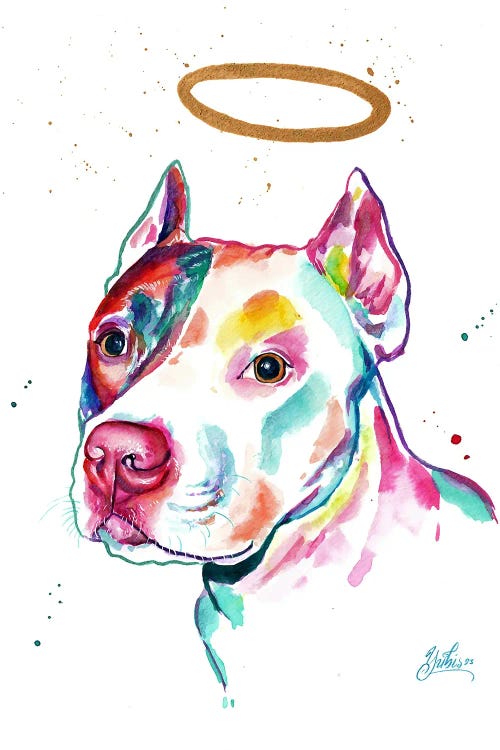 Pitbull Angél by Yubis Guzman wall art