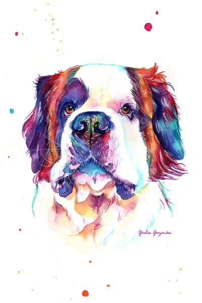 St. Bernards: San Bernardo Colorido by Yubis Guzman