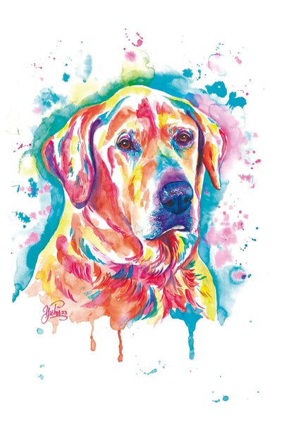 Animal Lover: Sanson Perro Colorido by Yubis Guzman