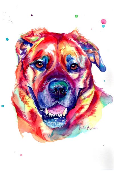 Perro Colorido Steve by Yubis Guzman framed wall art