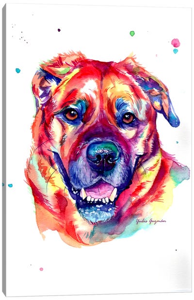 Perro Colorido Steve Canvas Art Print - Yubis Guzman