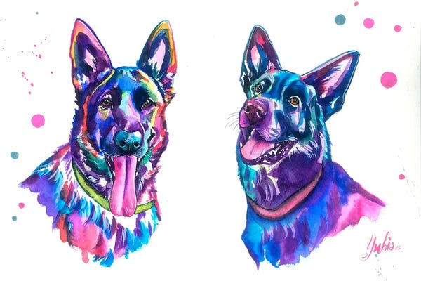 German Shepherds: Dash Y Dala by Yubis Guzman