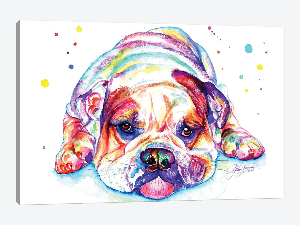 English Bulldog Lying Down by Yubis Guzman 1-piece Canvas Artwork