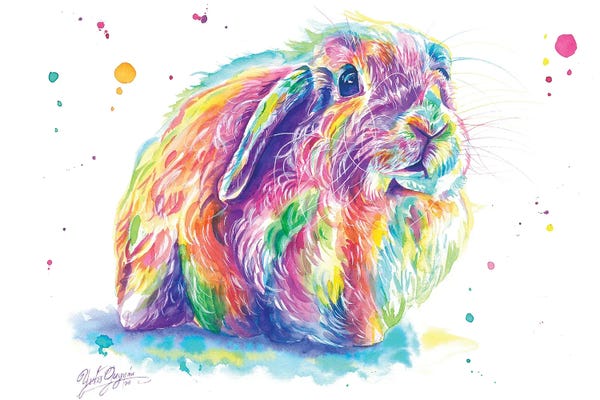 Rabbits: Little Bunny by Yubis Guzman