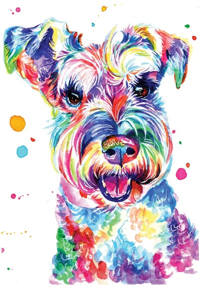 Schnauzers: Smiling Schnauzer by Yubis Guzman