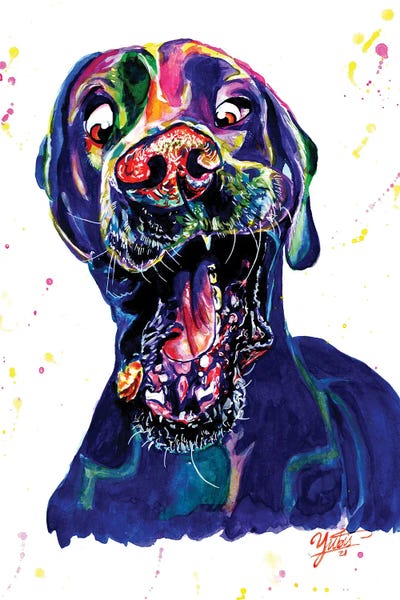 The Catching Dog by Yubis Guzman canvas print