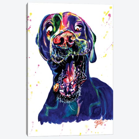 The Catching Dog Canvas Print #YGM30} by Yubis Guzman Canvas Print