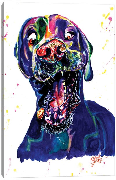 The Catching Dog Canvas Art Print - Yubis Guzman