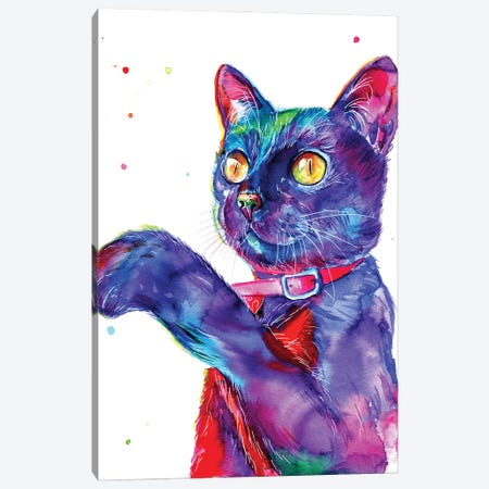 Blue Cat Canvas Print #YGM33} by Yubis Guzman Canvas Art Print