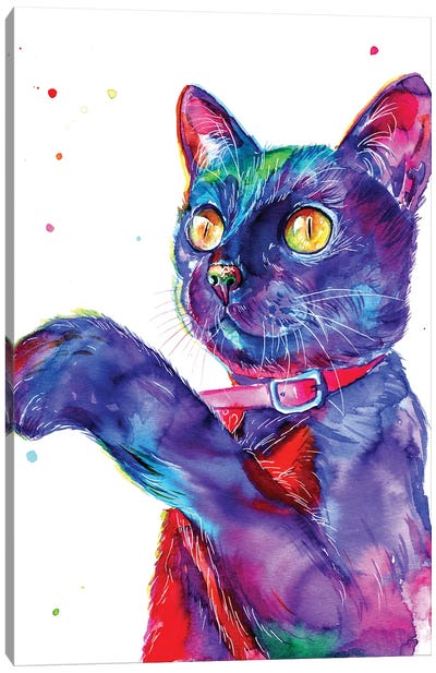Blue Cat Canvas Art Print - Yubis Guzman