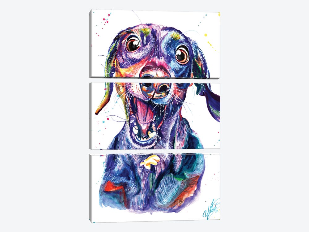 Catching Dog by Yubis Guzman 3-piece Canvas Art