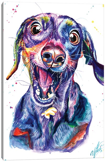 Catching Dog Canvas Art Print - Yubis Guzman