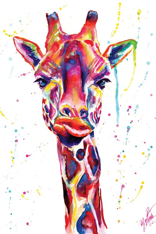 Colorful Giraffe