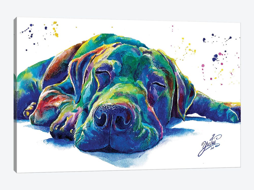 Blue Dog I by Yubis Guzman 1-piece Canvas Print