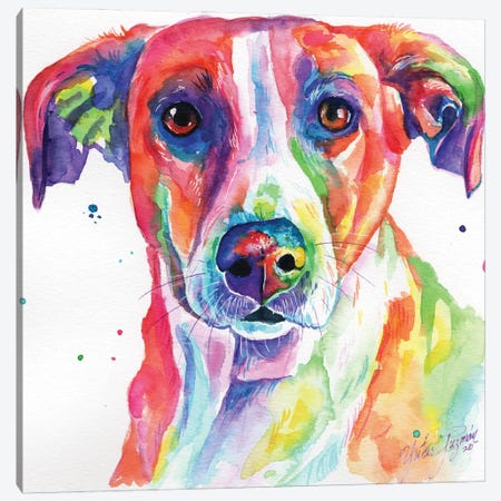 Colorful Dog Canvas Print #YGM40} by Yubis Guzman Canvas Artwork