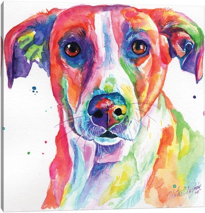 Colorful Dog Canvas Art Print - Yubis Guzman