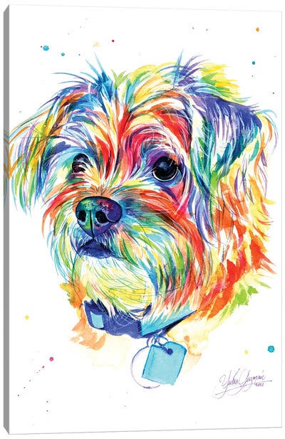 Little Colorful Puppy Canvas Art Print - Puppy Art