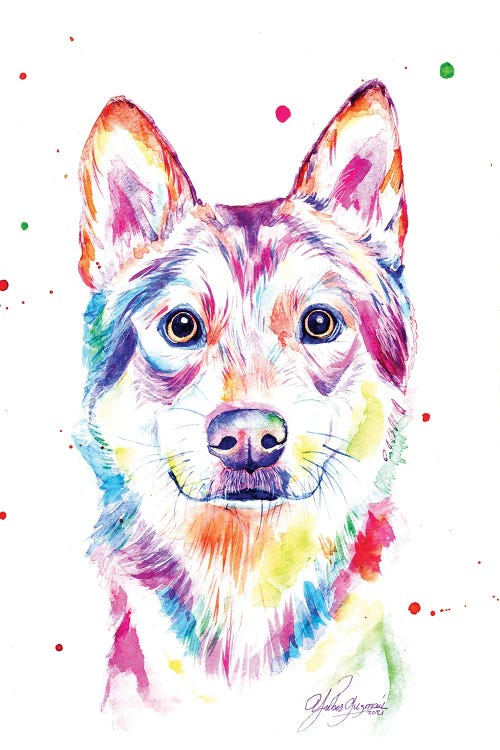 Colorful Wolf