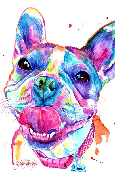 French Bulldogs: French Bulldog by Yubis Guzman
