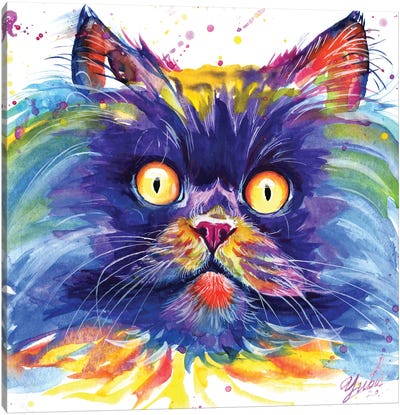 Sun Eyes Cat Canvas Art Print - Yubis Guzman