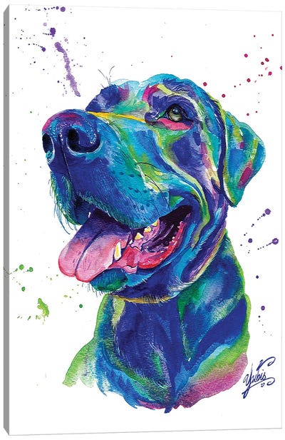 Blue Dog II Canvas Art Print - Yubis Guzman
