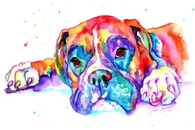 Colorful Boxer by Yubis Guzman acrylic art print