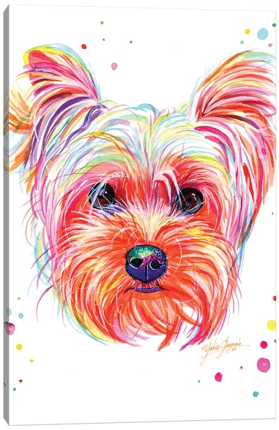 Yorkie Puppy Canvas Art Print - Yorkshire Terrier Art