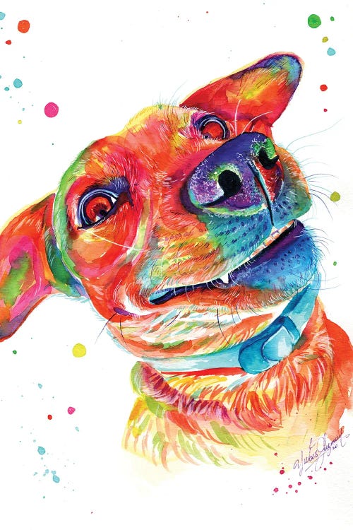 Funny Dog