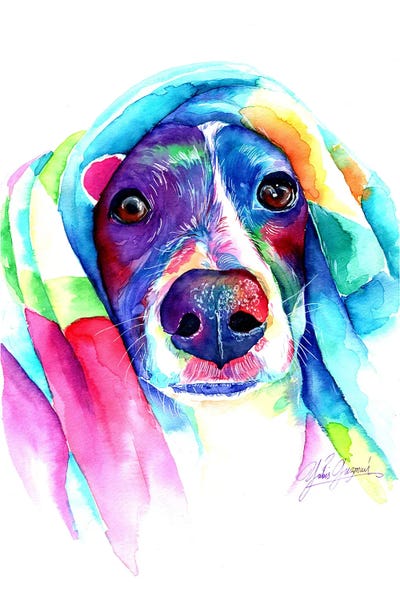 Heat Loving Dog by Yubis Guzman canvas print