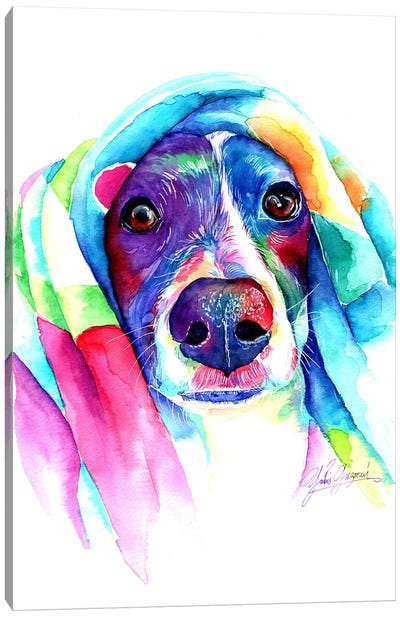 Heat Loving Dog Canvas Art Print - Yubis Guzman