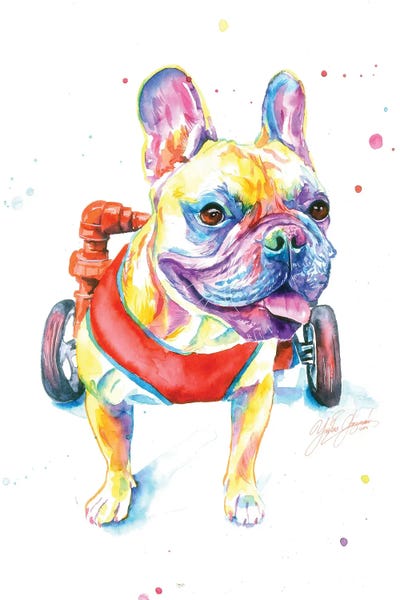 Fighting Dog by Yubis Guzman framed canvas print