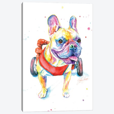 Fighting Dog Canvas Print #YGM57} by Yubis Guzman Canvas Artwork