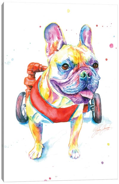 Fighting Dog Canvas Art Print - Pet Adoption & Fostering Art