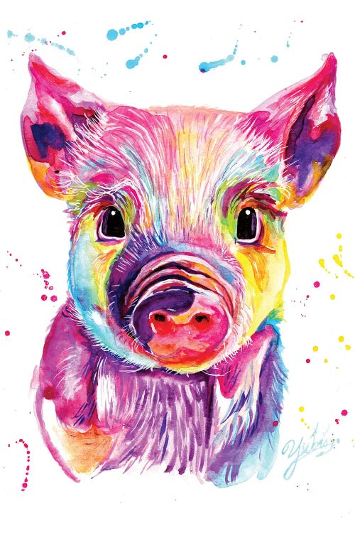 Colorful Mini Pig