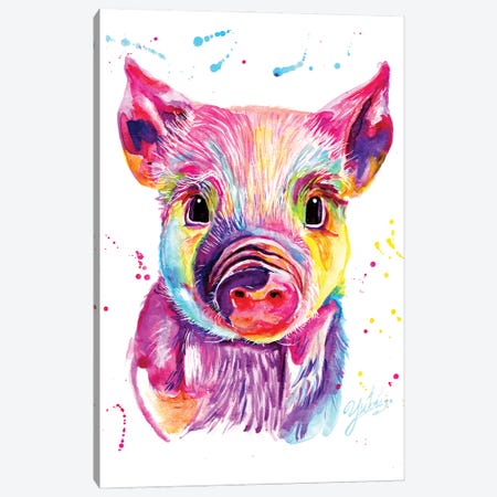 Colorful Mini Pig Canvas Print #YGM59} by Yubis Guzman Canvas Print