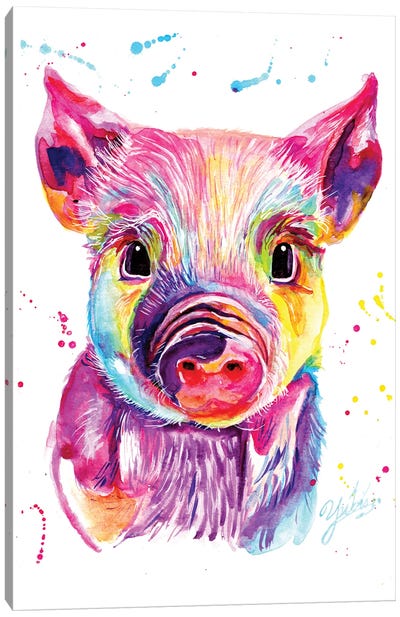 Colorful Mini Pig Canvas Art Print - Pig Art