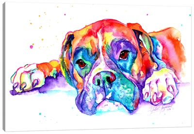 Colorful Boxer Canvas Art Print - Yubis Guzman