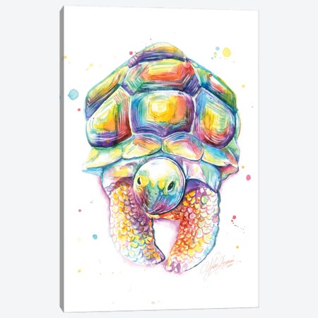 My Colorful Turtle Canvas Print #YGM63} by Yubis Guzman Canvas Artwork