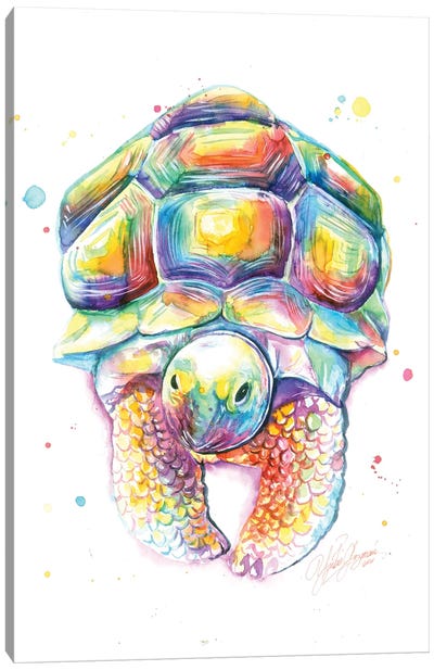 My Colorful Turtle Canvas Art Print - Yubis Guzman