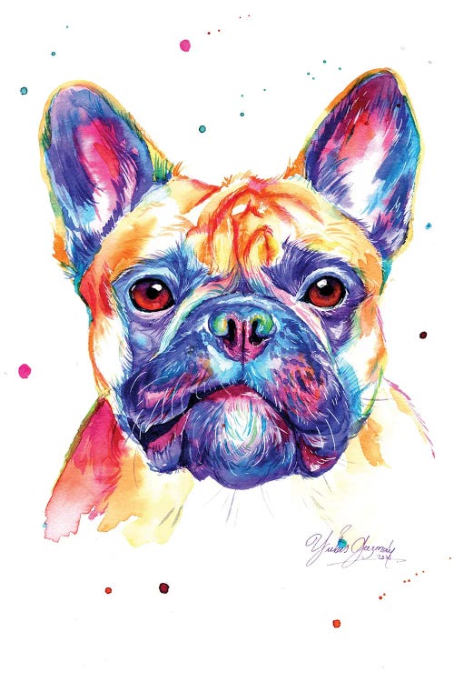 Colorful Bulldog Frances Canvas Artwork by Yubis Guzman | iCanvas