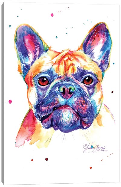 Colorful Bulldog Frances Canvas Art Print - French Bulldog Art