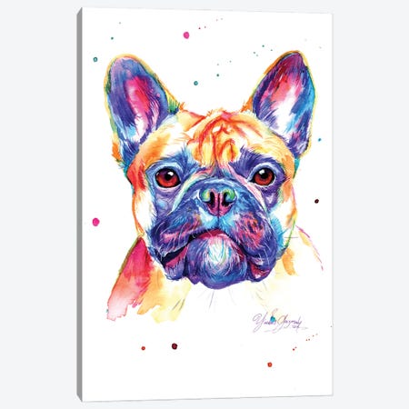 Colorful Bulldog Frances Canvas Print #YGM6} by Yubis Guzman Art Print