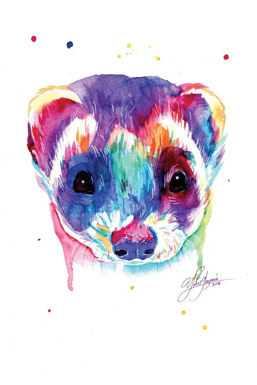 Colorful Ferret