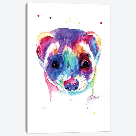 Colorful Ferret Canvas Print #YGM70} by Yubis Guzman Canvas Print