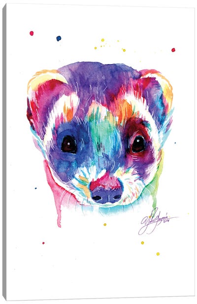 Colorful Ferret Canvas Art Print - Yubis Guzman