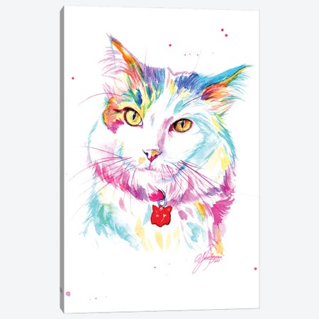 Lovely Yellow-Eyed Cat Canvas Print #YGM71} by Yubis Guzman Canvas Print